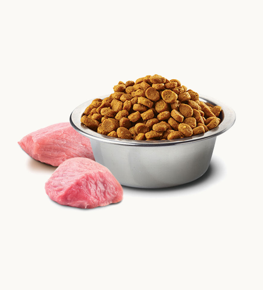 Farmina N&D Pumpkin Grain Free Dry Dog Food, Lamb & blueberry- Buy Mongo-Themed Pet food Online | mongo