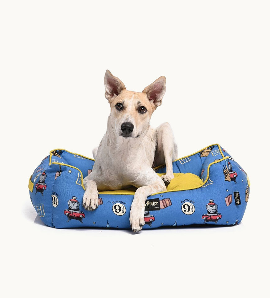 Harry Potter Lounger Bed - Welcome to Hogwarts Dog Bed- Buy Mongo-Themed Pet food Online | mongo