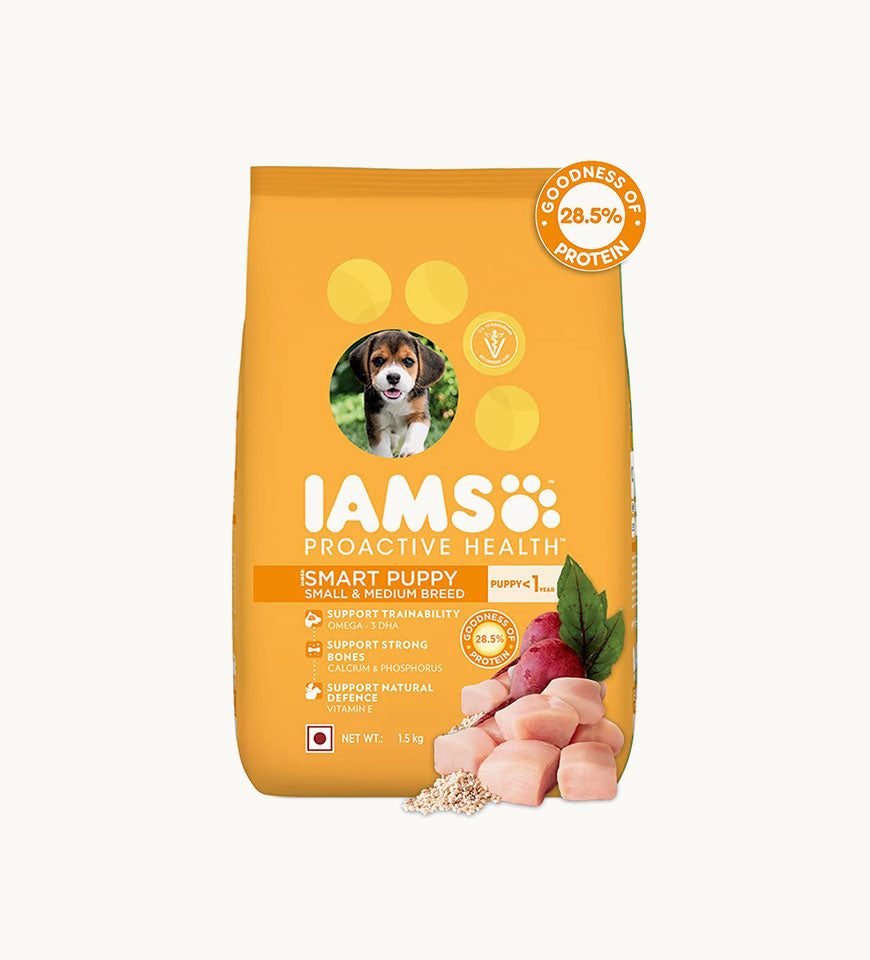 IAMS Puppy Dry Dog Food for Small & Medium Breed Dogs- Buy Mongo-Themed Pet food Online | mongo