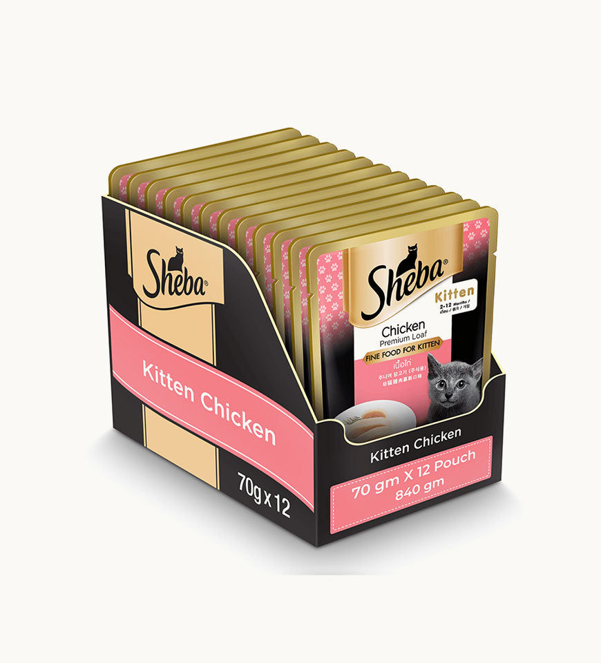 Sheba Premium Wet Cat Food- Buy Mongo-Themed Pet food Online | mongo