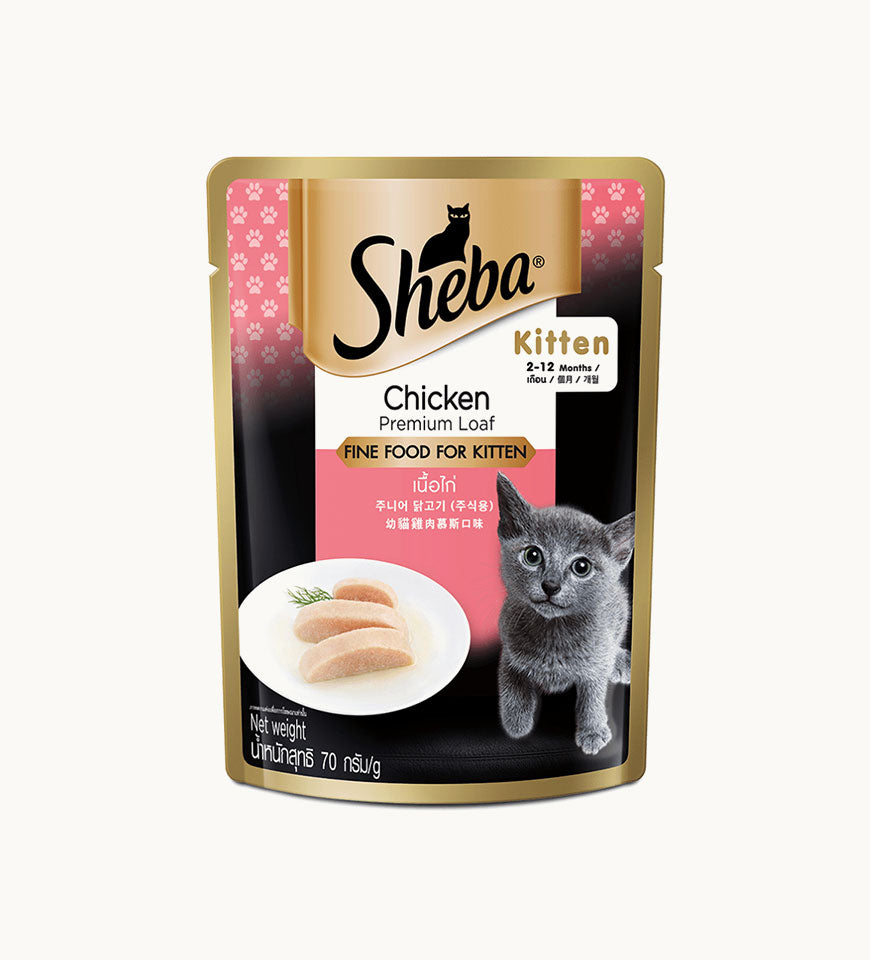 Sheba Premium Wet Cat Food- Buy Mongo-Themed Pet food Online | mongo
