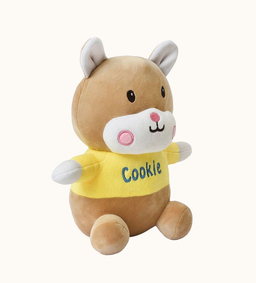Kids cookie soft toy- Buy Mongo - Themed Kids toys Online | mongo